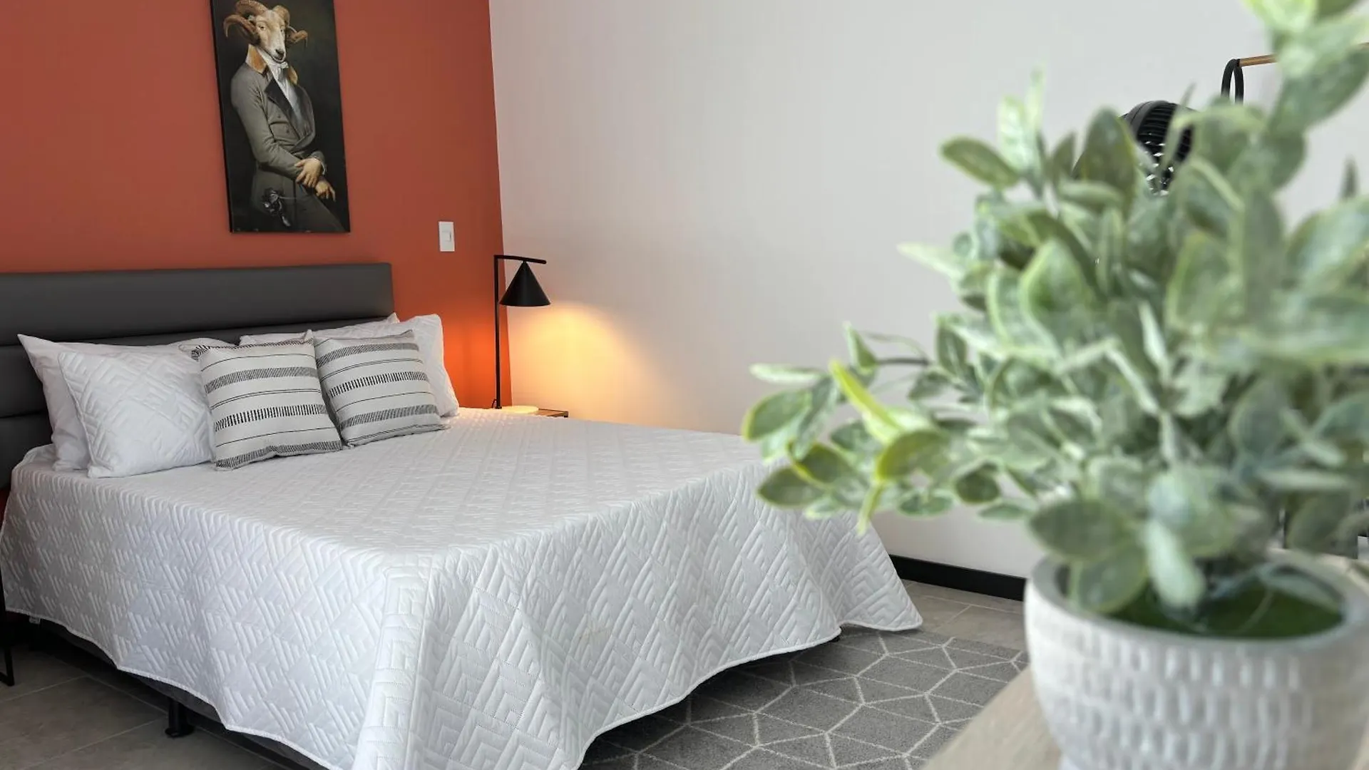 Apartamentos Virginia 34 Medellín Appartamento