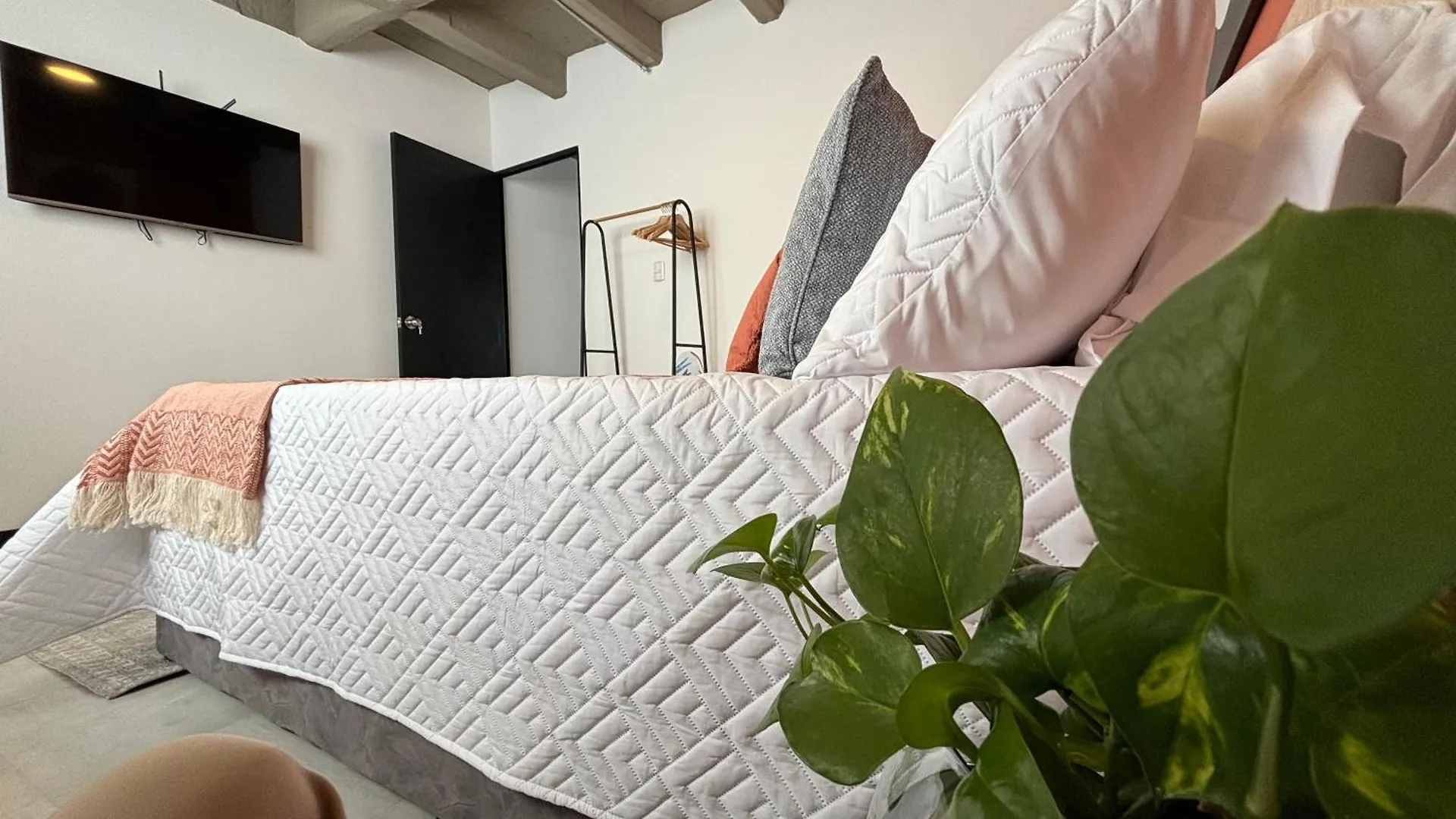 Apartamentos Virginia 34 Medellín
